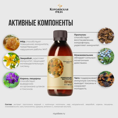 КОМПОЗИЦИЯ ЭКСТРАКТОВ "ПОЧКИ", 100 мл